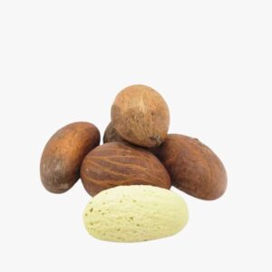 20 noix de petits Cola - Bitter Cola - Qualité supérieure