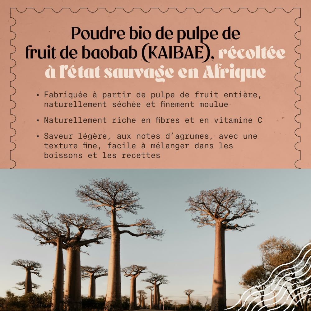 Poudre de Fruit de Baobab 100 g – Superaliment Naturel pour Énergie & Immunité – Image 3