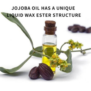 Huile de Jojoba Bio 100ml – 100% Pure, Naturelle et Pressée à Froid – Soin Visage, Corps, Cheveux, Ongles – Anti-Acné, Anti-Rides & Vergetures – Végan – Real Earth