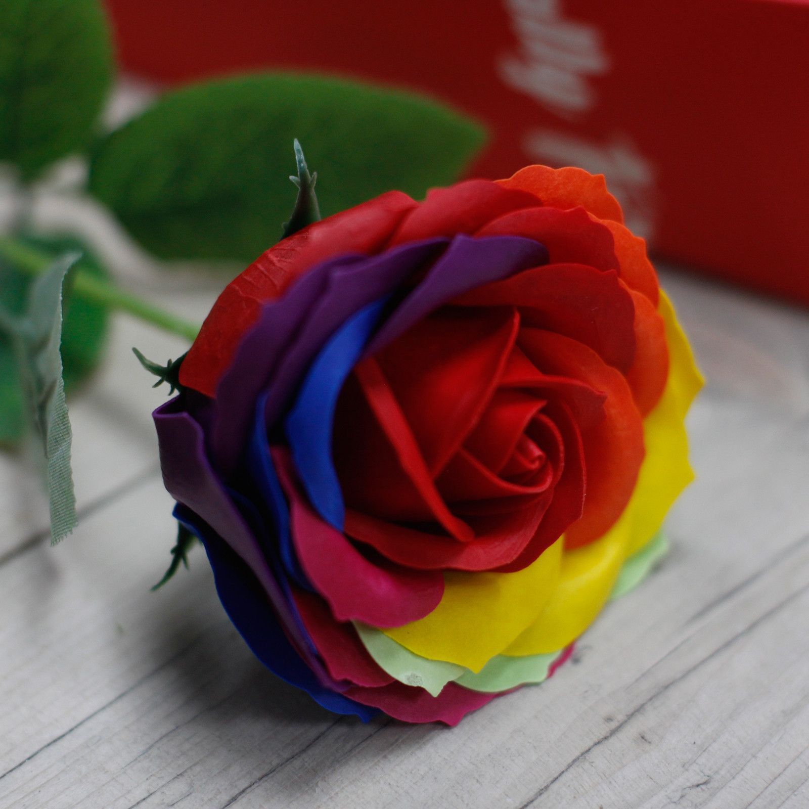 Rose simple - Arc-en-ciel – Image 4